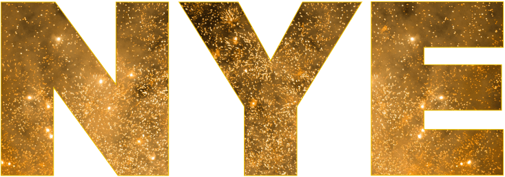 logo nye finns (1)